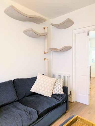 Cat wall
